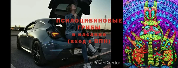 ГАЛЛЮЦИНОГЕННЫЕ ГРИБЫ Осинники
