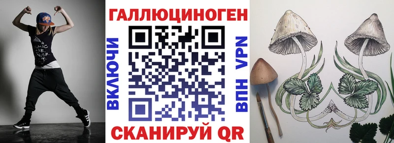 мега ТОР  Донецк  Галлюциногенные грибы Psilocybe 