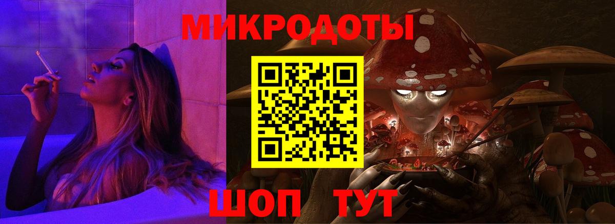 Псилоцибиновые грибы Psilocybe Донецк